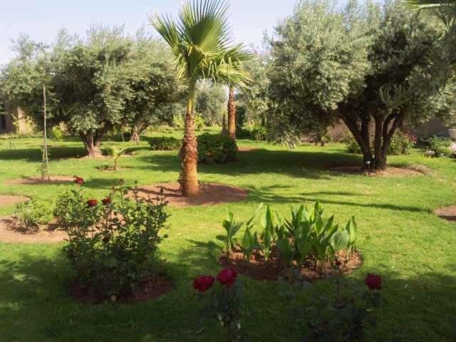 Bed and Breakfast Marrakech African Queen Azib Oulad Lâdem Exteriér fotografie